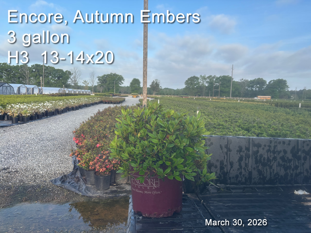 gallery/eemb3 h3 mar30.jpg